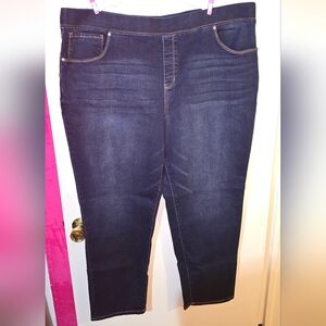 Terra & Sky Women's Dark Indigo Jeggings